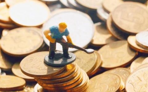 新华原油是什么意思啊